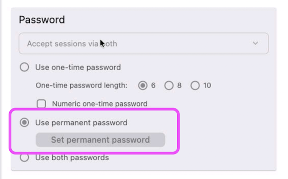 RustDesk Settings page showing Use permanent password selected and password entry field